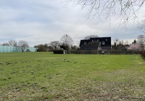 Ansicht Grünfläche