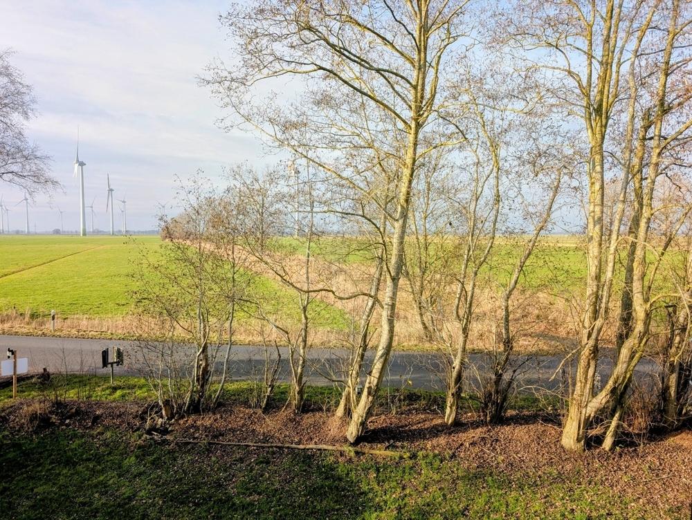 Blick aus der Haustür