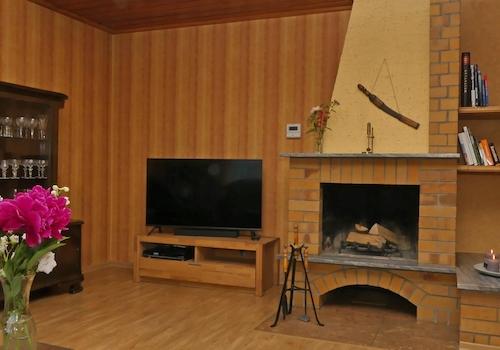 EG Wohnzimmer / Kamin