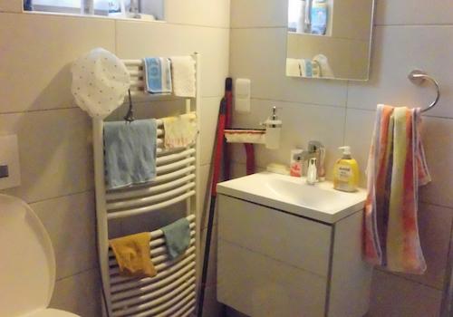 EG Gäste-WC (Teilansicht 2)