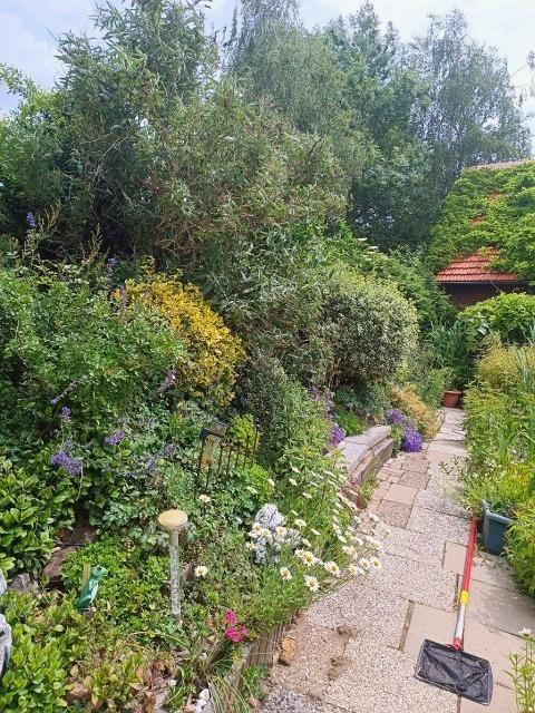 Wohnen in der Natur mit viel Grün