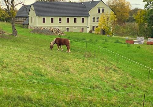 Blick vom Obergeschoss aus dem Fenster