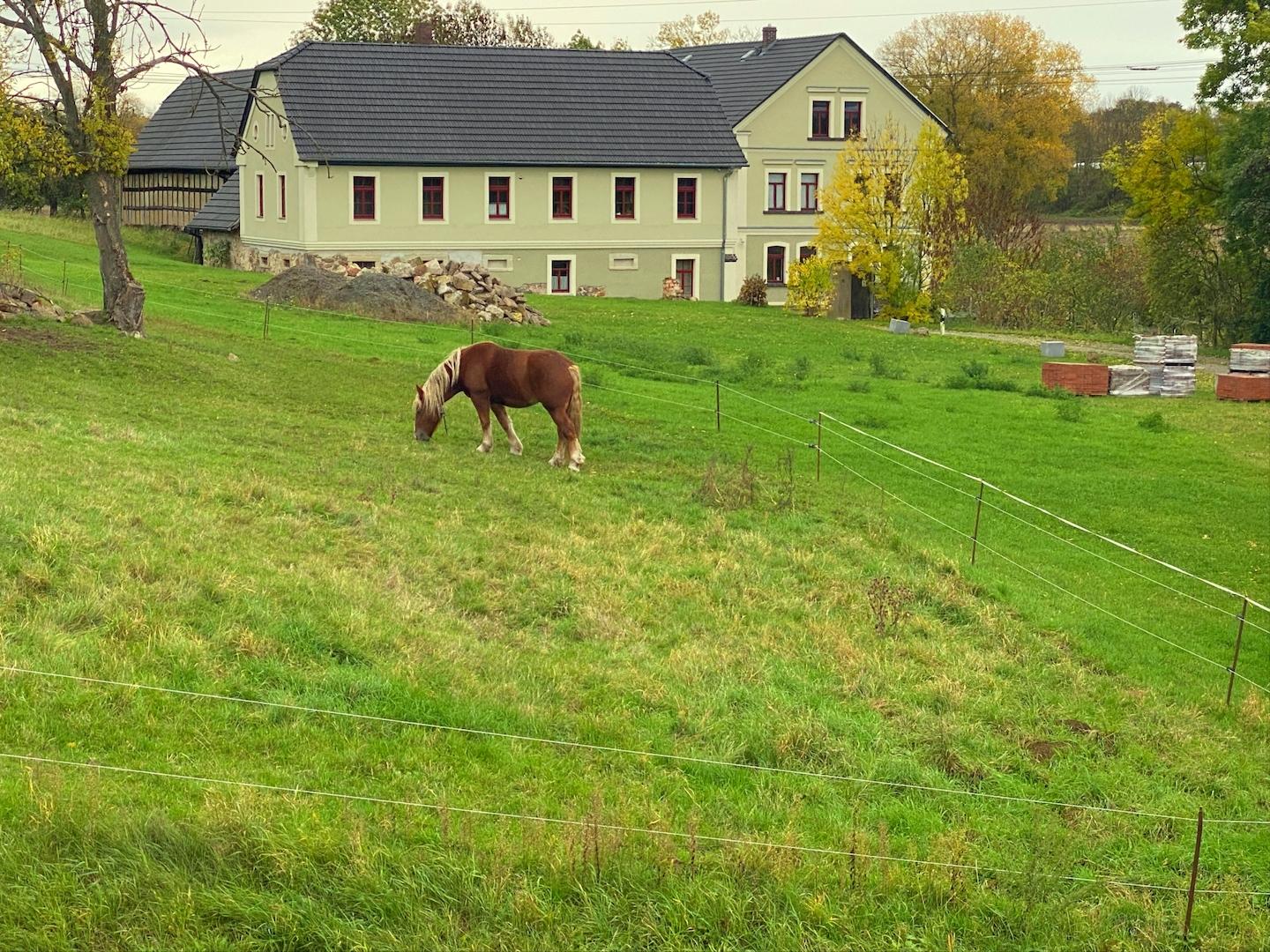 Blick vom Obergeschoss aus dem Fenster