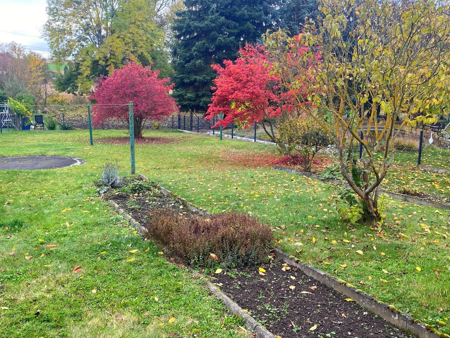 Herbsteindrücke vom Gartengrundstück