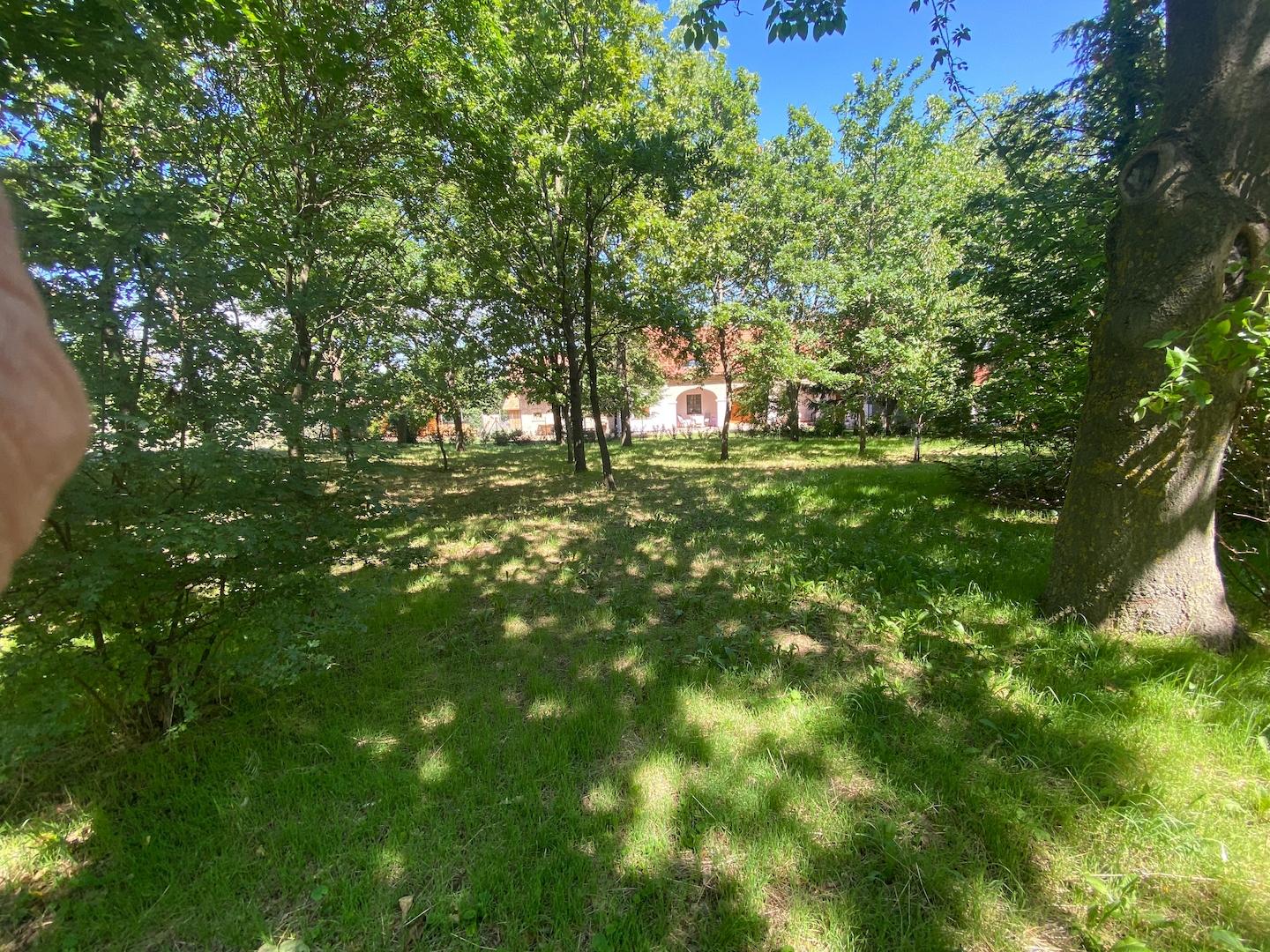 Gepflegte Häuser in der Nachbarschaft