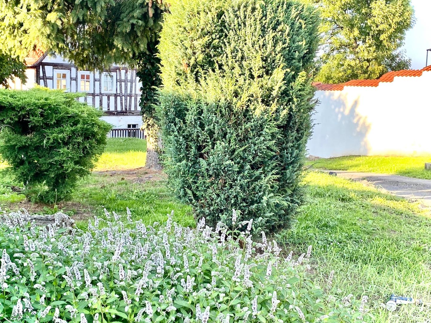 Eventuelles Baugrundstück