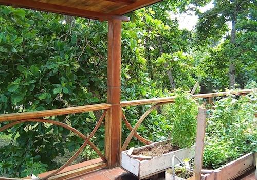 Platz für Küchenkräuter