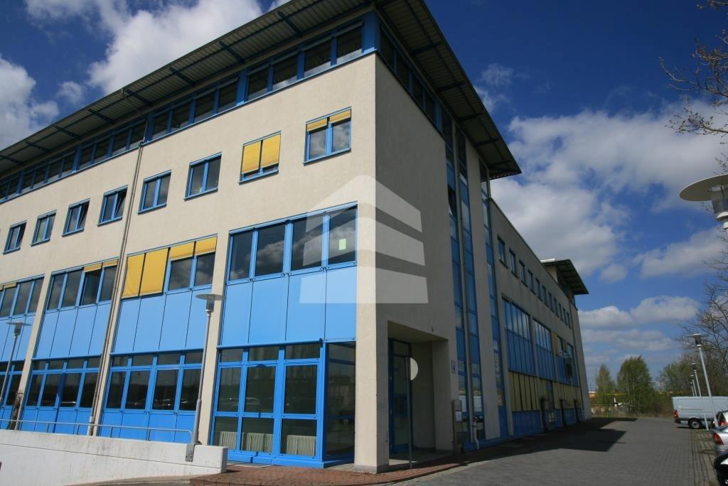 71e13a89-1a7d-4e5b-8e41-65b3ca5f4ad1_IMG_3153