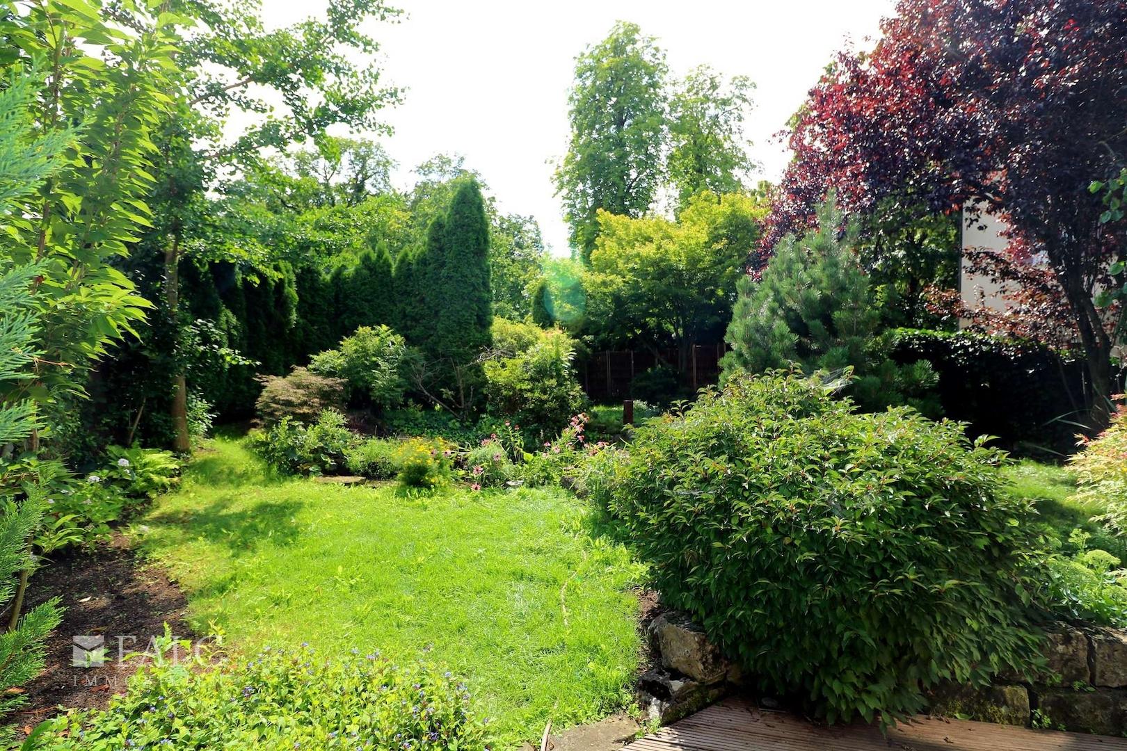 Garten noch mit Thuja-Hecke