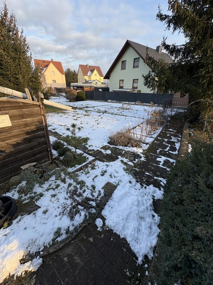 Gemeinschaftsgarten Bild 2