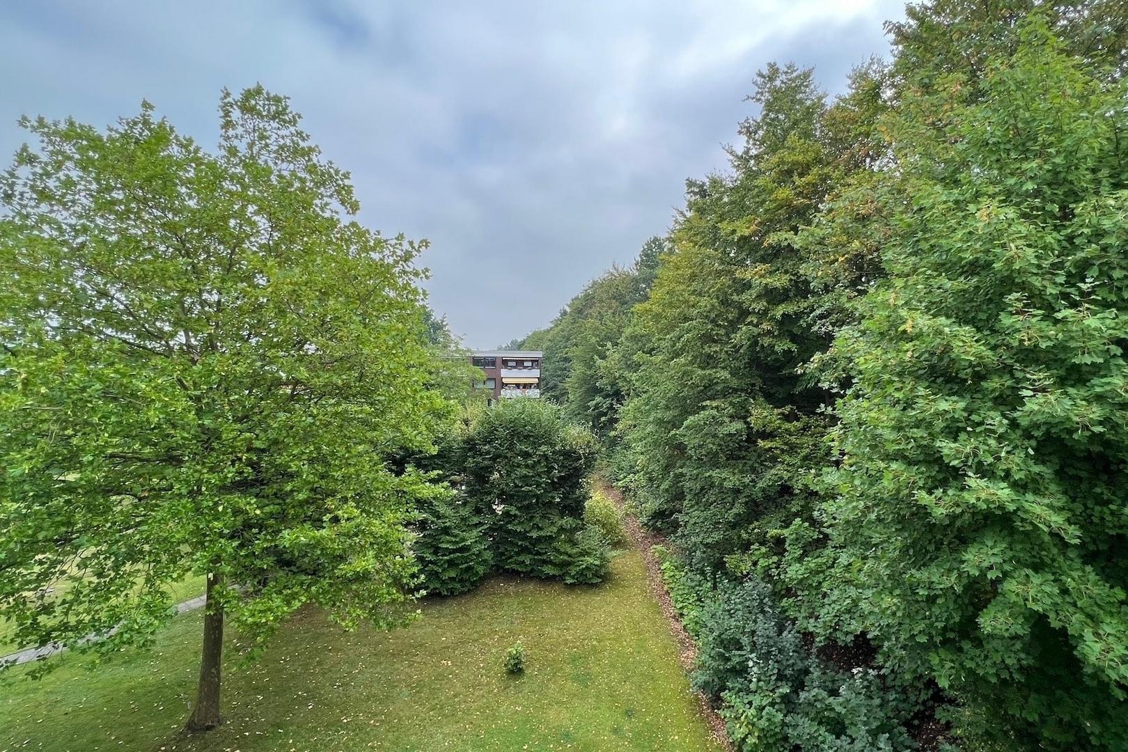 Ausblick