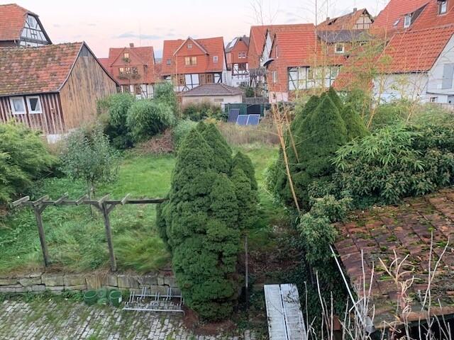 Garten Sommer