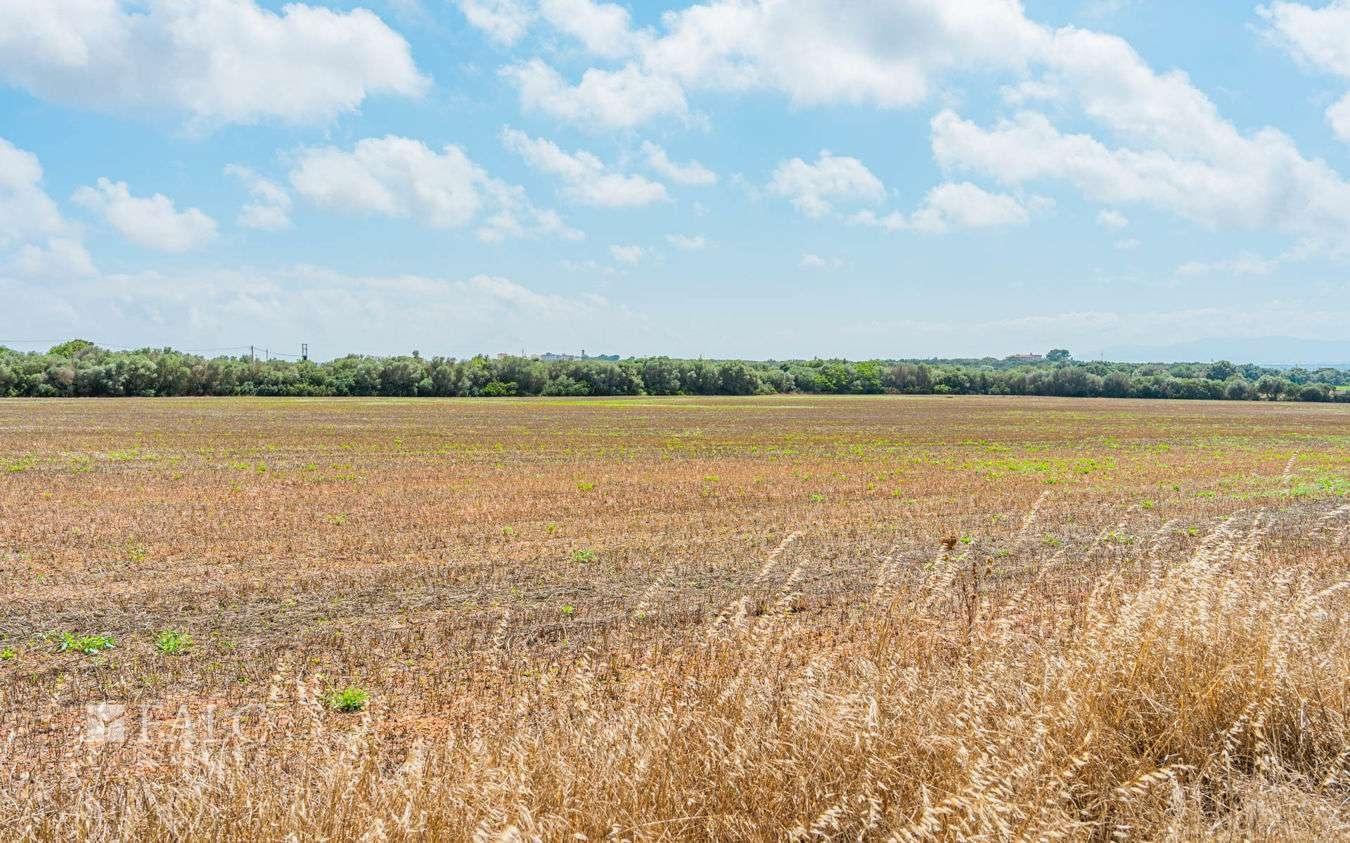 grundstueck-son-gual-5