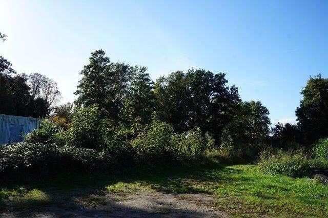 Blick westlich/ südlich