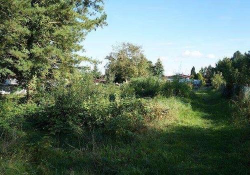 Blick östlich/ nördlich