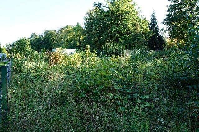 Blick östlich/ südlich