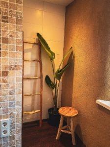 Bild15