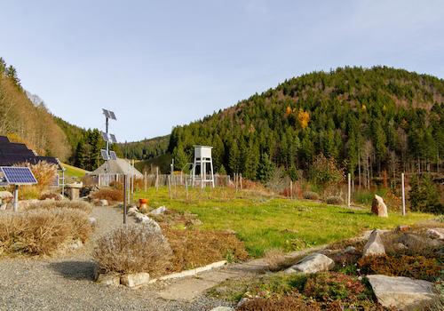 Großzügiger Garten