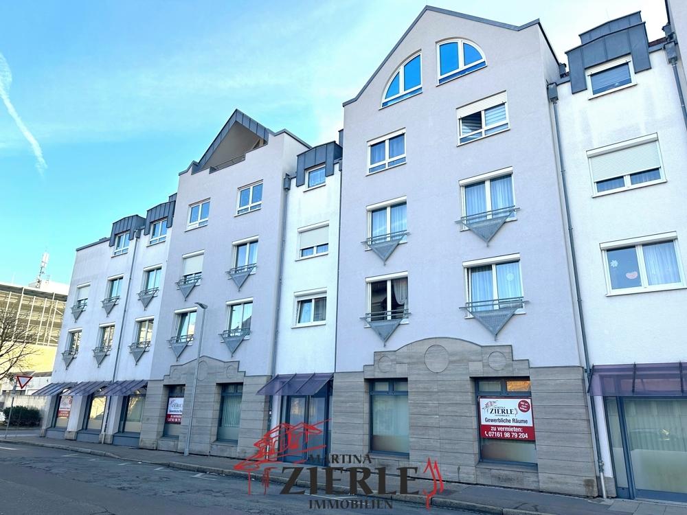 1.1 Außenansicht