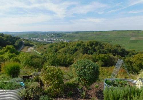 BB32 Blick i.d. Garten