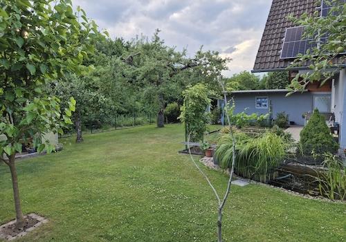 Blick in den hinteren Teil