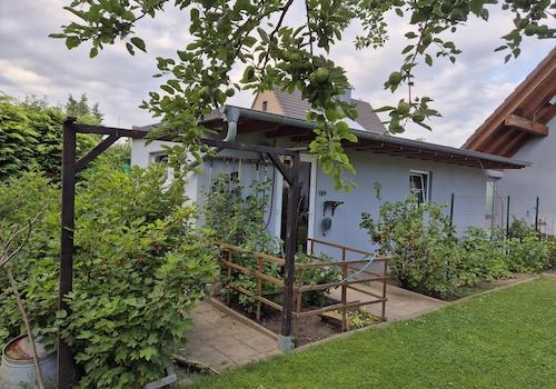 Garage/Hintereingang Garten