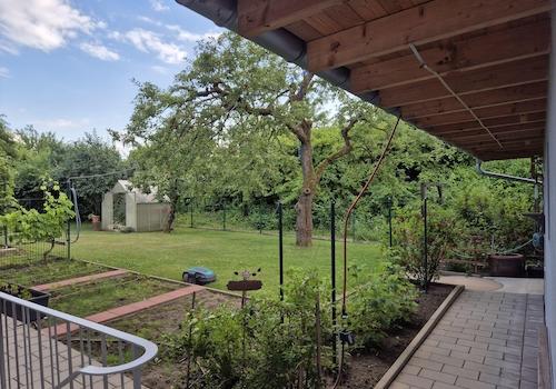 von der Kellertreppe im Garten