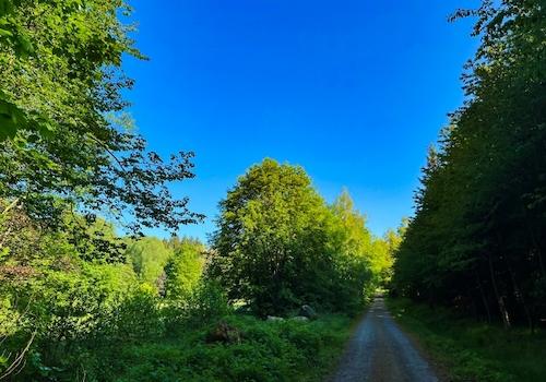 Am Grundstück angekommen