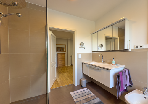 modernisiertes Duschbad EG