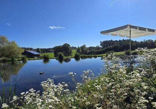 ”Das Haus am See” - traumhafter Landsitz im Rottal - ICC - Immobilien Competence Center