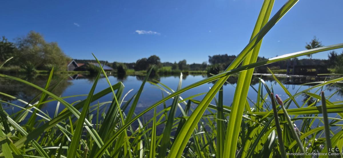 ”Das Haus am See” - traumhafter Landsitz im Rottal - ICC - Immobilien Competence Center