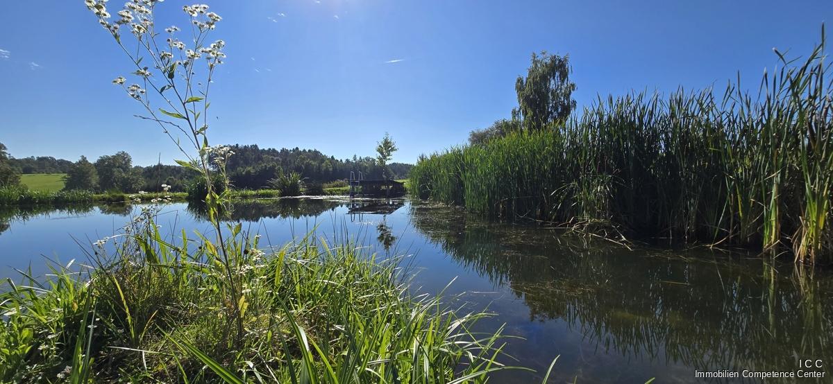 ”Das Haus am See” - traumhafter Landsitz im Rottal - ICC - Immobilien Competence Center