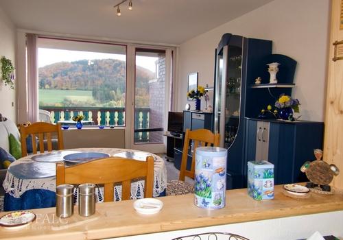 Nichtraucher, Haustierfrei