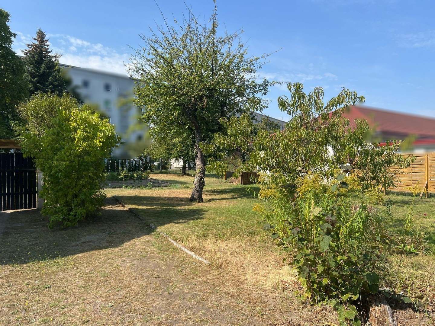 Blick zum Gartenbereich