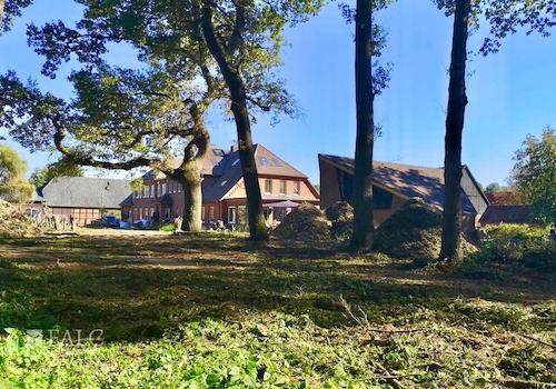 Garten mit Baumbestand