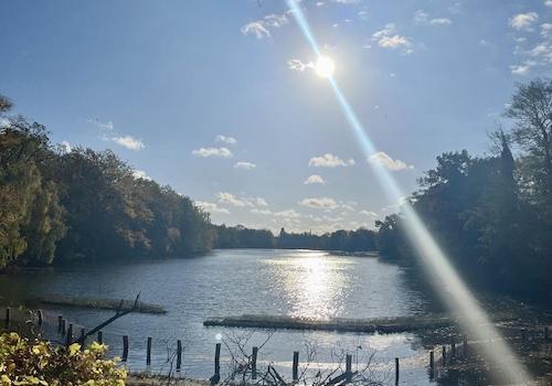Umgebung: Plötzensee