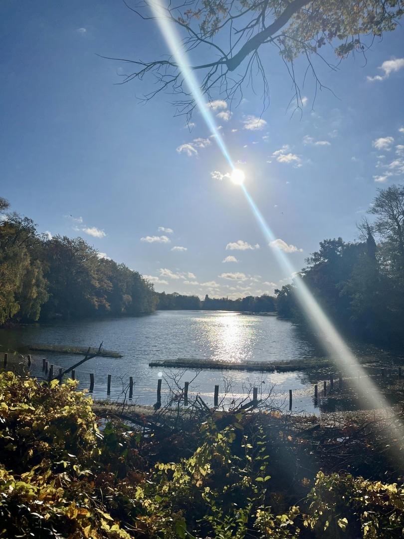 Umgebung: Plötzensee