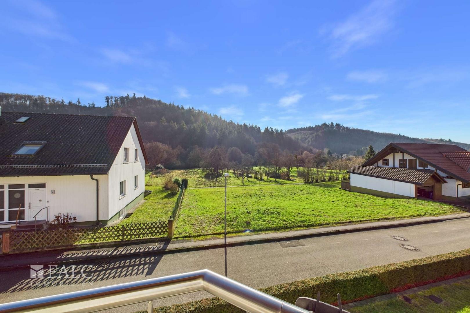 Aussicht Süd Balkon EG