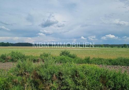 Blick vom Grundstück