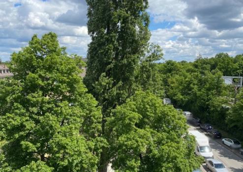 Property thumbnail 16