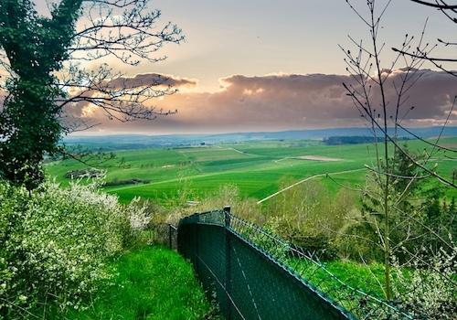 Blicke für Neidhammel