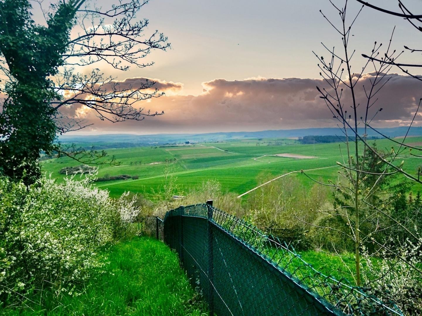 Blicke für Neidhammel