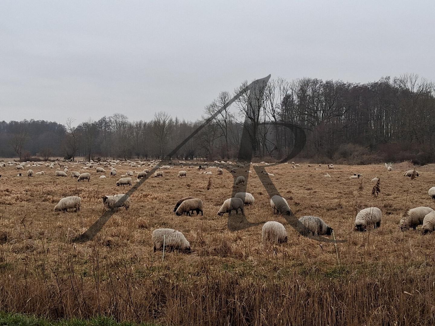 Die Altmark