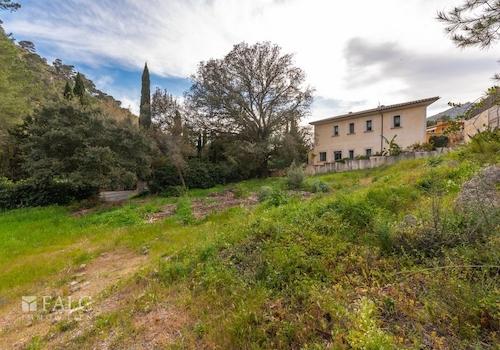 grundstueck-cala-san-vicente-3