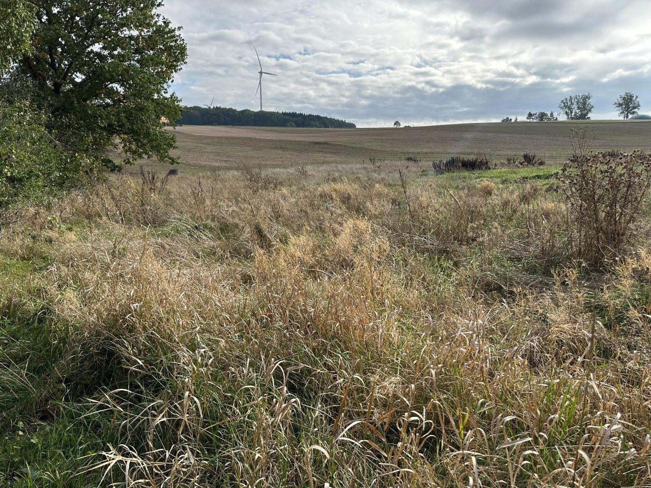 Baugrundstück in Reichenbach/Vogtland