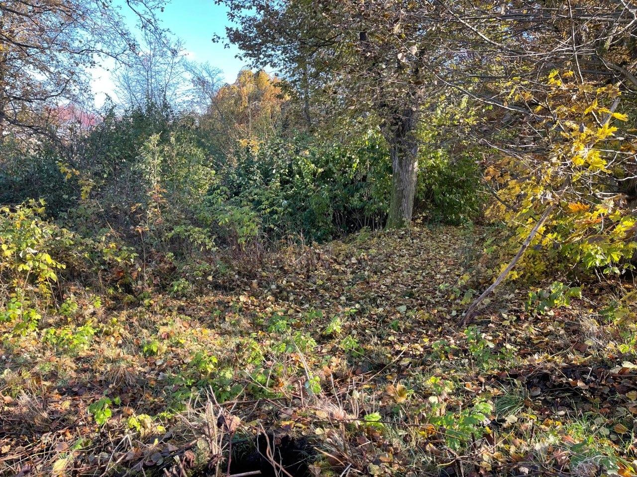 Baugrundstück Markneukirchen