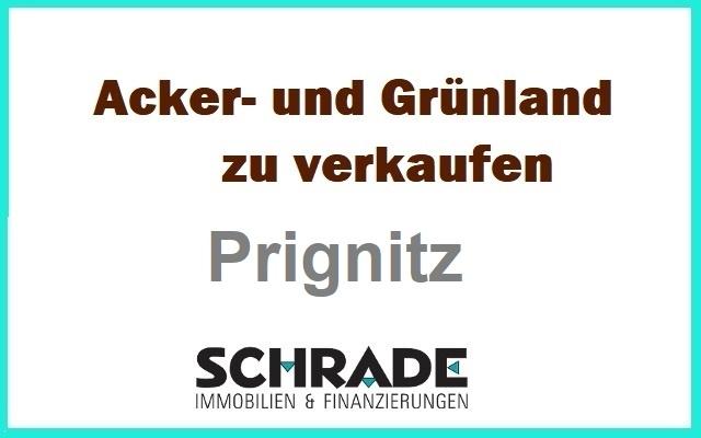 Grünland und Acker bei Wittenberge