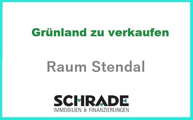 Grünland bei Havelberg 