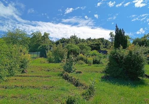 Gartenimpressionen 1