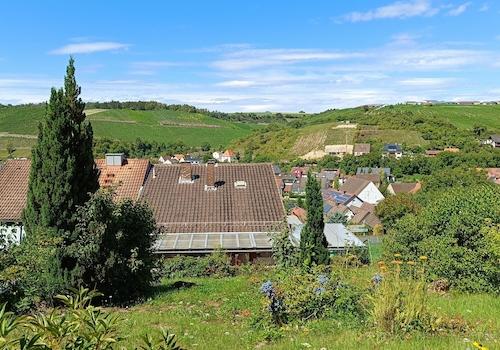 Gartenimpressionen 2